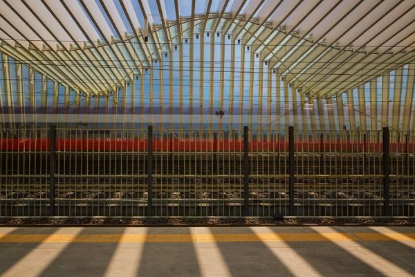 Photograph Della Latta Massimo  La Linea Roosa on One Eyeland